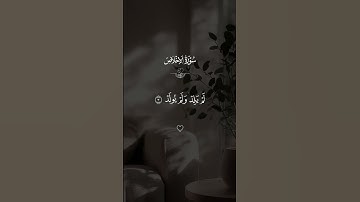 سوره الاخلاص مشاري العفاسي#قران #فارس_عباد  #quran #قران_كريم #تلاوة_خاشعة