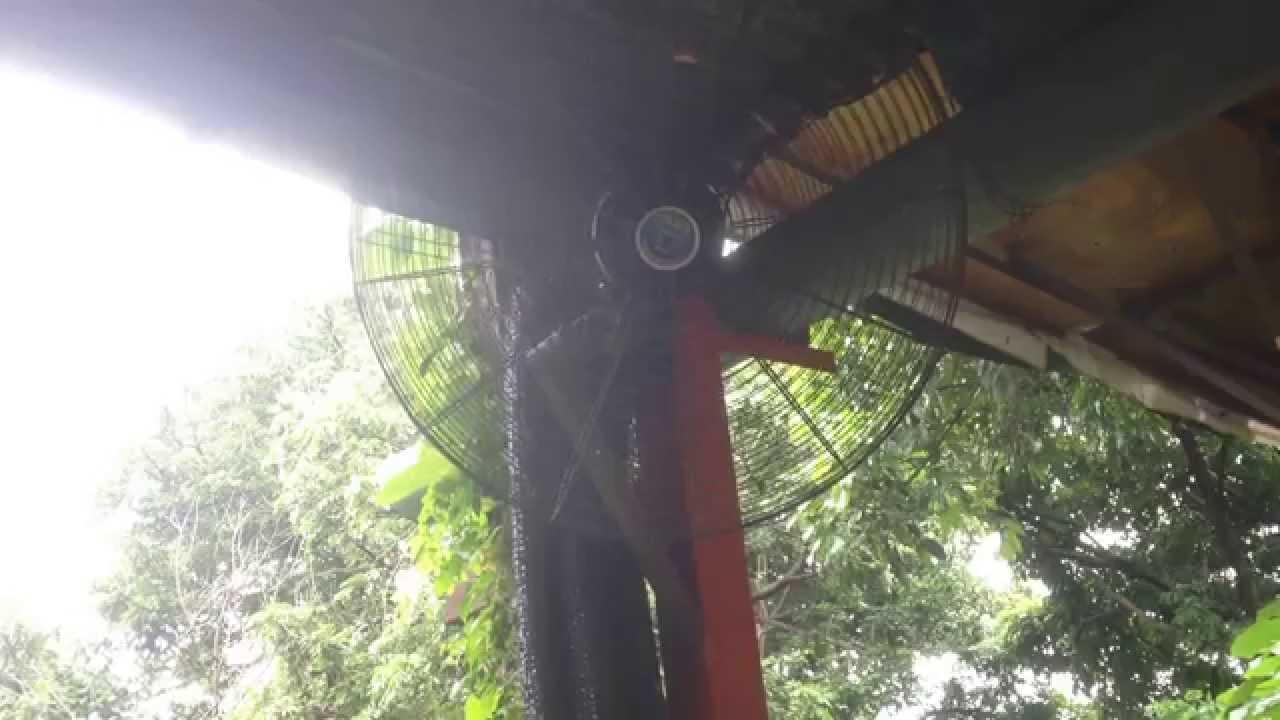 High Velocity Ceiling Fans And Wall Fans In Wiseland Adventure