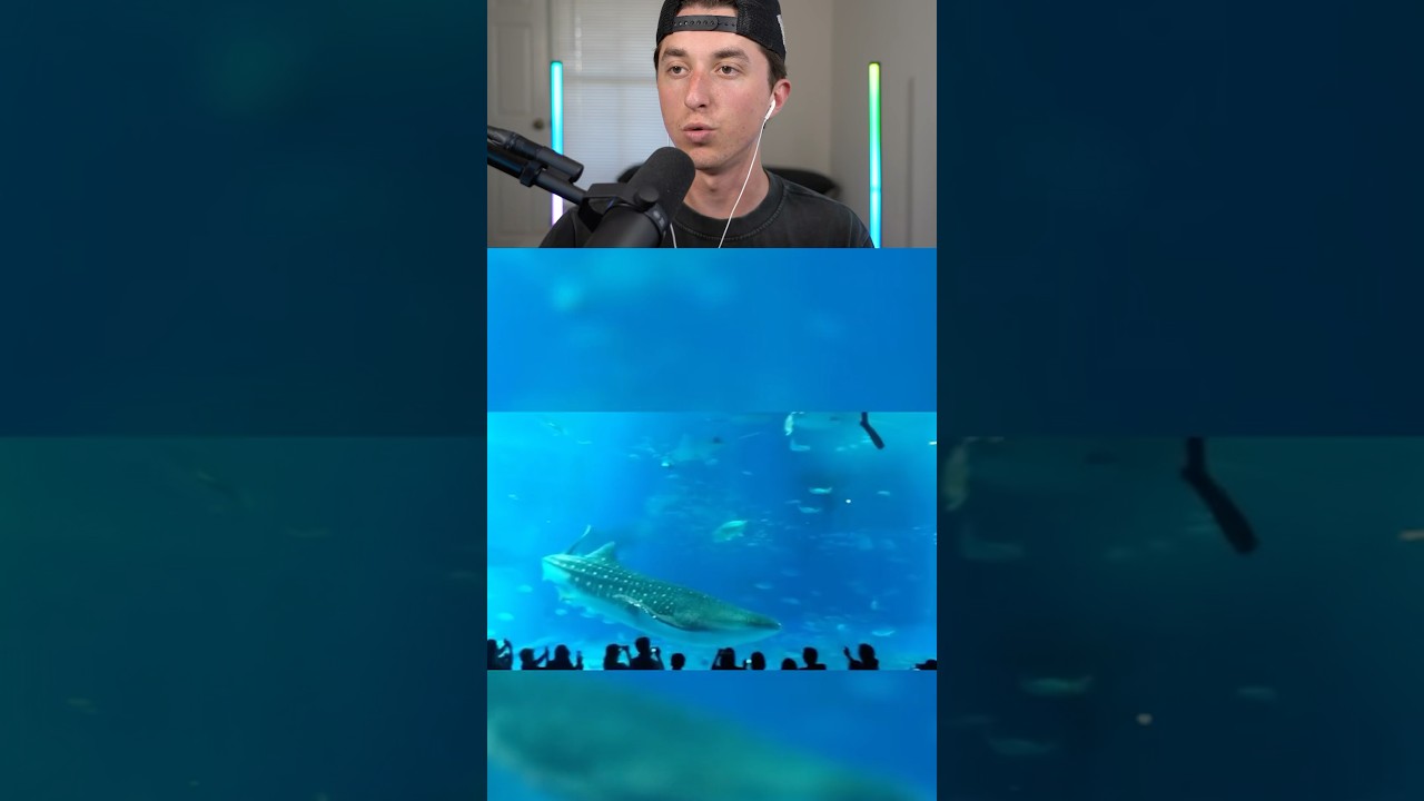 animals are big 🤯😱