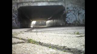 Rotje In De Tunnel
