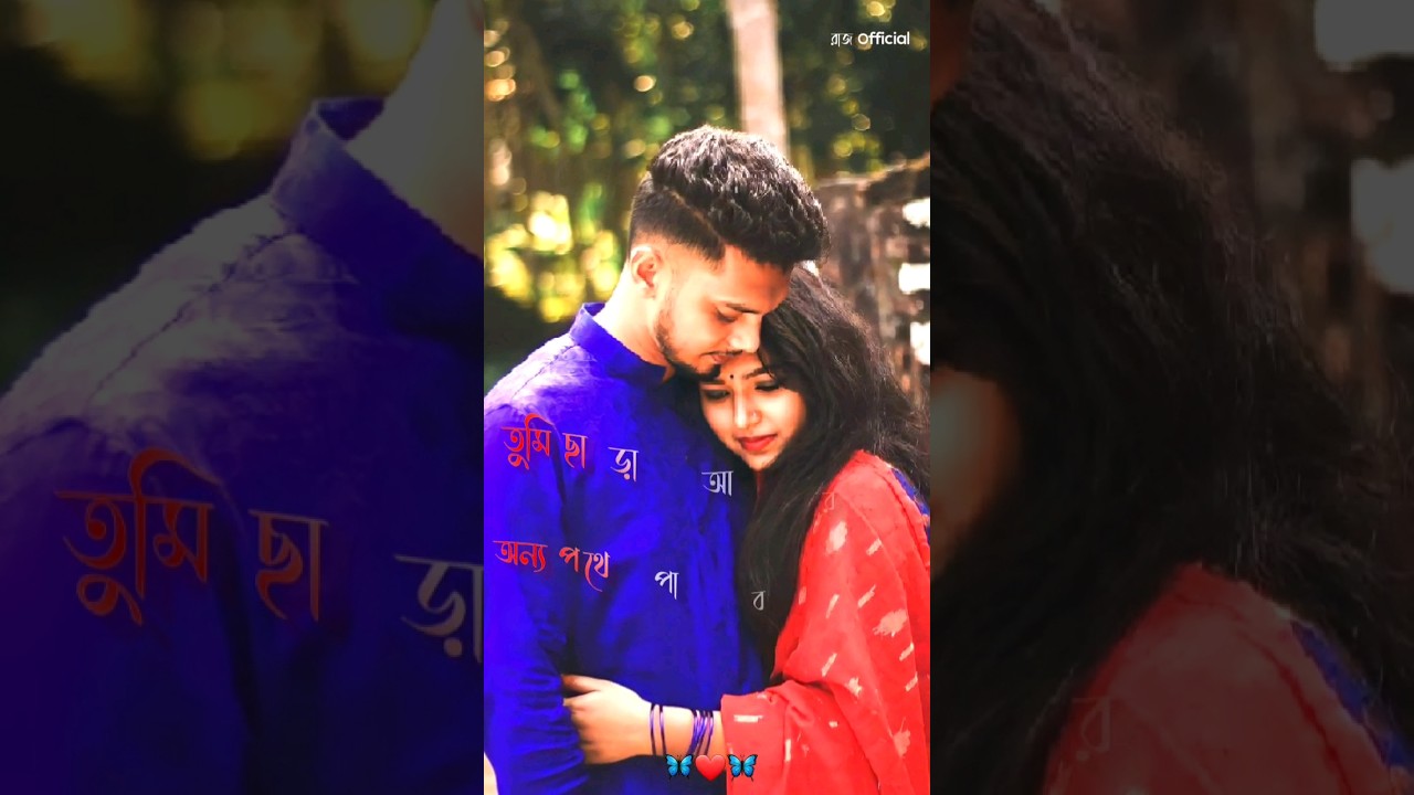 Bengali Romantic Status Video ❤️?? #shorts #short #romantic #status #trending #tiktok #sad #couple