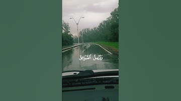 عبدالباسط عبدالصمد تلاوه رائعه جدا #عبد_الباسط_عبد_الصمد #تلاوة_خاشعة #القرآن_الكريم #quran