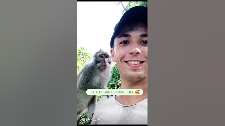 BOSQUE DE LOS MONOS EN BALI🙊🙉🙈