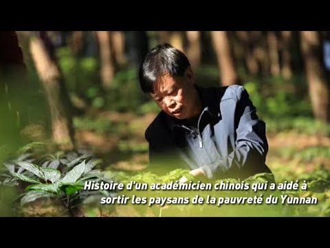 Vidéo: Comment les jumeaux ont été séparés et élevés dans des familles aux revenus différents