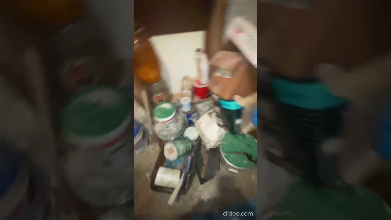 2847 W Mulberry Walkthrough