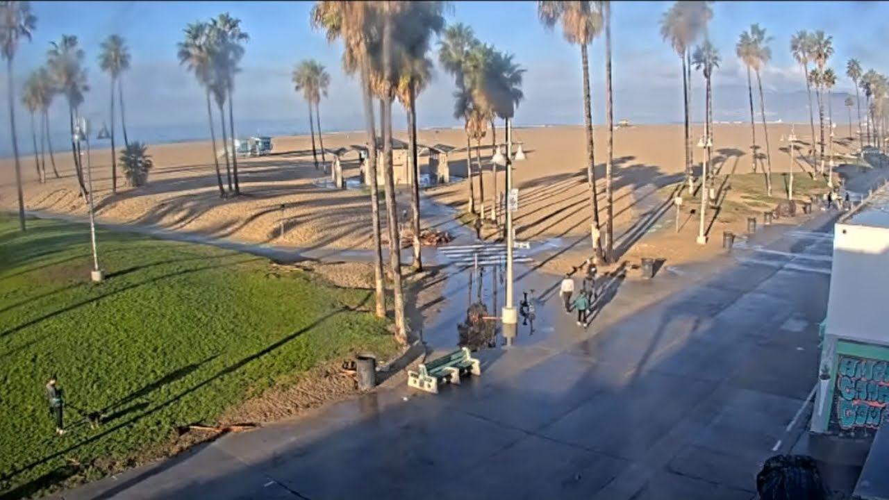 Venice Beach Live at Brittany Wertz blog