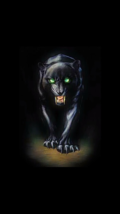story wa macan kumbang
