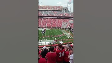 Georgia Bulldogs enter the field at Sanford Stadium. UGA VS. Austin Peay 9-6-25