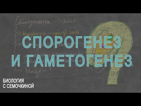 Видео: Эталонные геномы и транскриптомы Nicotiana Sylvestris и Nicotiana Tomentosiformis