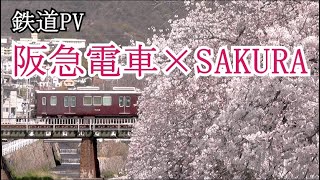 【鉄道PV】　阪急電車×いきものがかり「SAKURA」