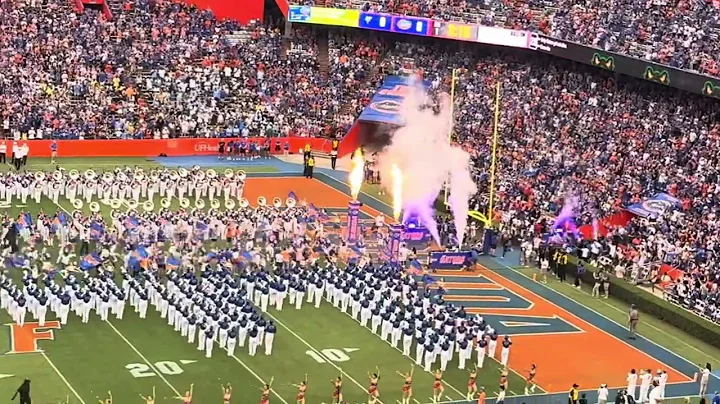 Only Gators Get Out Alive