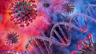 Daha Ne Olsun Resimi