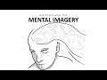 9.2 Mental Imagery
