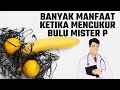 4 Manfaat Mencukur Bulu Kemaluan Pria