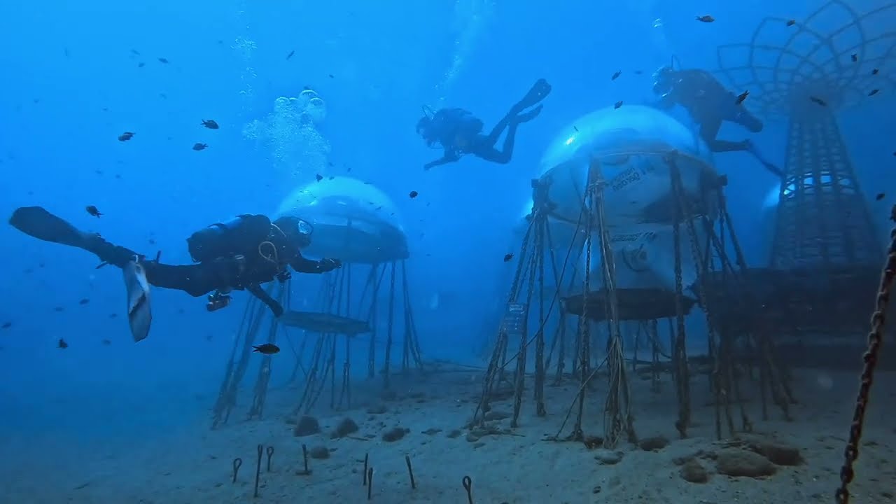L'uomo sott'acqua: Nemo's Garden