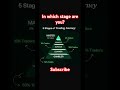 5 Stages of a Trading Journey #trading