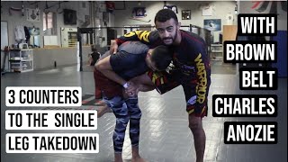 Counters to the SINGLE LEG Take Down