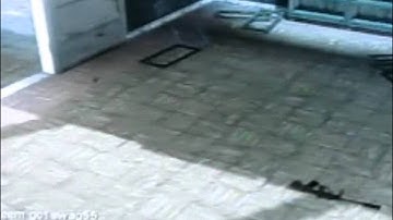 BLACK OPS RANDOM GRENADE KILLS