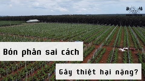 Bón phân theo cách này có thể gây hại cho cây trồng của bạn ? Hiểu về phân bón #chuối #chuốimô 