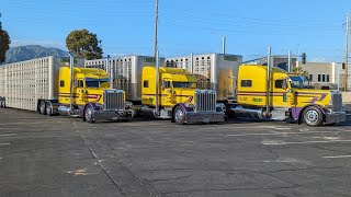 DeVries Transport's Photoshoot Lineup At Truckin' For Kids  April 28, 2024