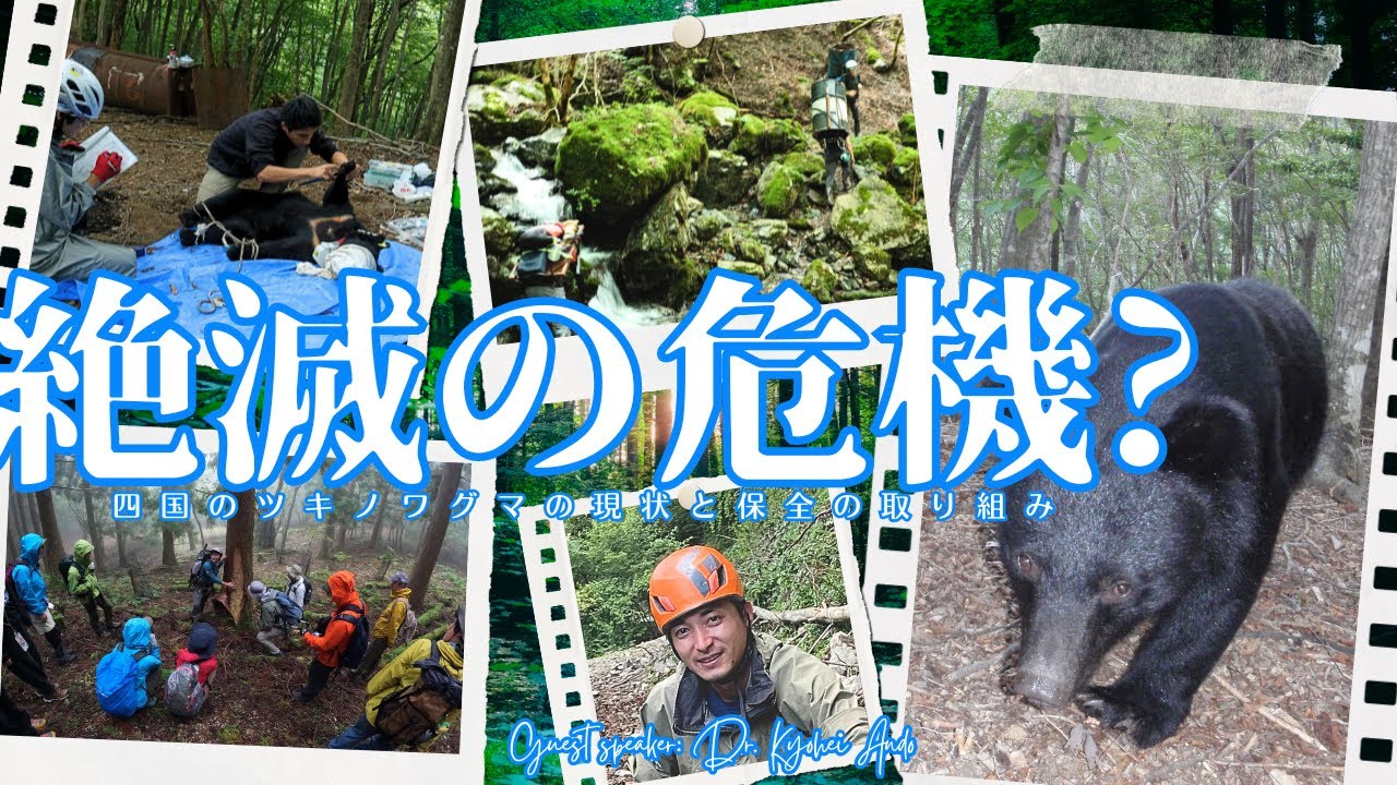 ライブ配信！絶滅の危機？四国のツキノワグマの現状と保全の取り組み