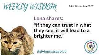 Weekly Wisdom. Lena shares: 'If they can trust in what they see, it will lead to a brighter me.' by Naturally Cats - Help for anxious cats & humans 41 views 5 months ago 12 minutes, 3 seconds