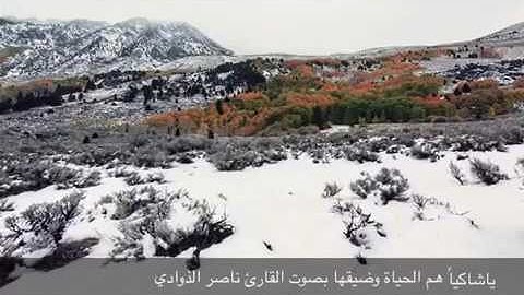 القارئ ناصر الذوادي