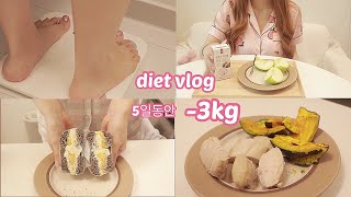 ENG) DIET VLOG [5일간 급찐급빠 -3kg 