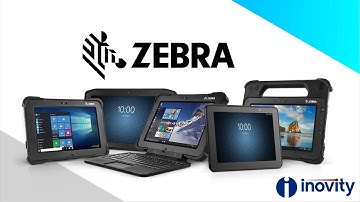 Inovity Presents Zebra