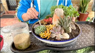 Succulent Arrangement in Ceramic Dish by SUCCULENT CRAVINGS by Vic Villacorta 1,809 views 3 weeks ago 9 minutes, 52 seconds