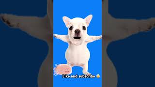 I am pebble like and subscribe me 😜
