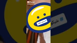 Chikouraملكتكم عادت ترويض كلب