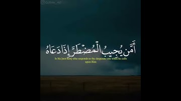 القارئ ياسر الدوسري    سورة النمل 62