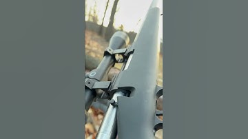 Little “Trick” with the Novritsch SSG10 Airsoft sniper rifle (⚠️MAY DAMAGE GUN⚠️) #airsoft #sniper