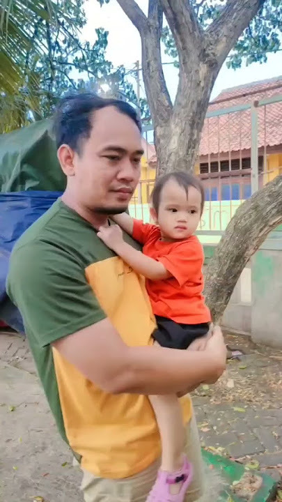 kucing yang disalahkan #shorts #komedikucing