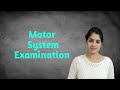 Motor system examination