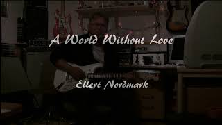 Video thumbnail of "Ellert Nordmark Live -  A World Without Love"