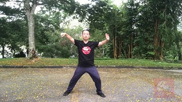 Chen Style Tai Chi New Frame First Routine 陈氏太极拳新架一路 - 58 运手 II  2ND Wave hands II
