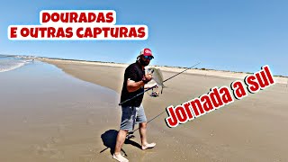JORNADA DE SURFCASTING - DOURADAS A SUL (E OUTRAS CAPTURAS!)