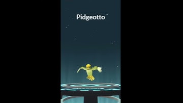 Shiny Pidgey Evolution!