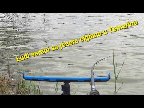 Pecanje feeder tehnikom,
