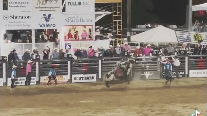 Redding Rodeo 2022 Bull goes over fence