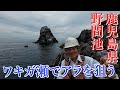 クエ【アラ】 鹿児島県、野間池ワキガ瀬でアラを狙う