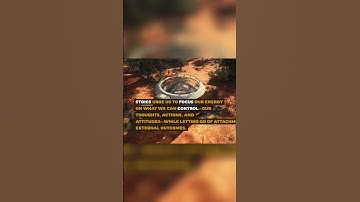 Letting Go of Control: Finding Inner Peace and Embracing the Present Moment #stoicism #philosophy