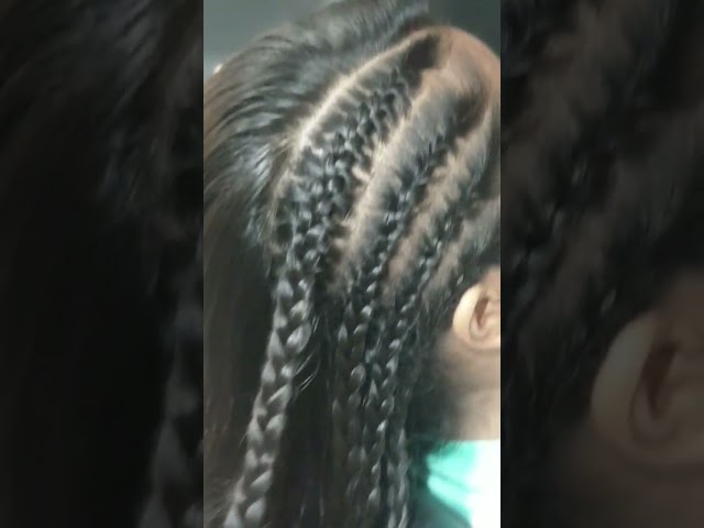 Funky braids #braids  #braidstylist  #hairstyle  #youtubeshorts #hair  #shortsviral  #shortsyoutube class=