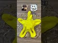 黄星星改造透明起泡胶!? 你们知道老板偷偷加了什么吗?#粘土混泥 #起泡胶 #玩泥讲故事 #玩泥素材 #手工diy
