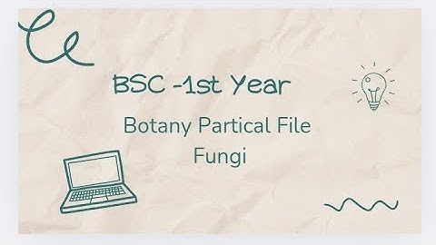 Botany- Fungi, BSC-1 st year Botany partical File with classification