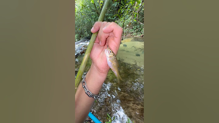 Making A Primitive Fishing Pole