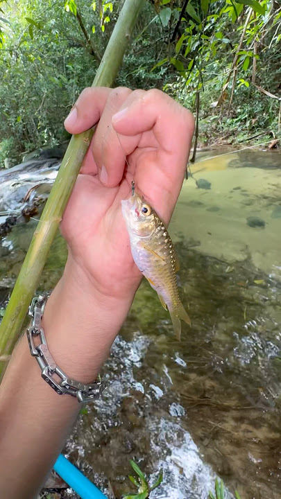 Making A Primitive Fishing Pole