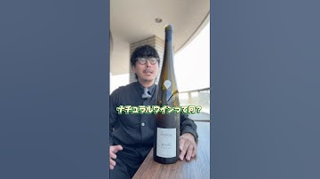 ナチュラルワインってなに? #shorts #ワイン #グルメ #wine #ナチュラルワイン #sommelier